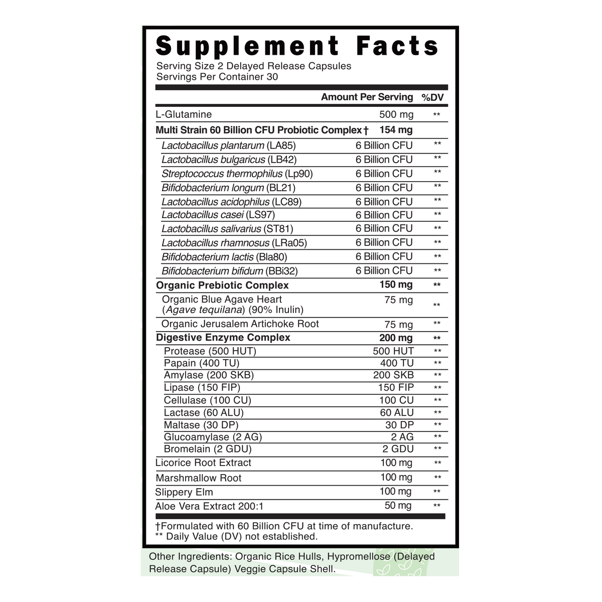 Probiotic Gut Support